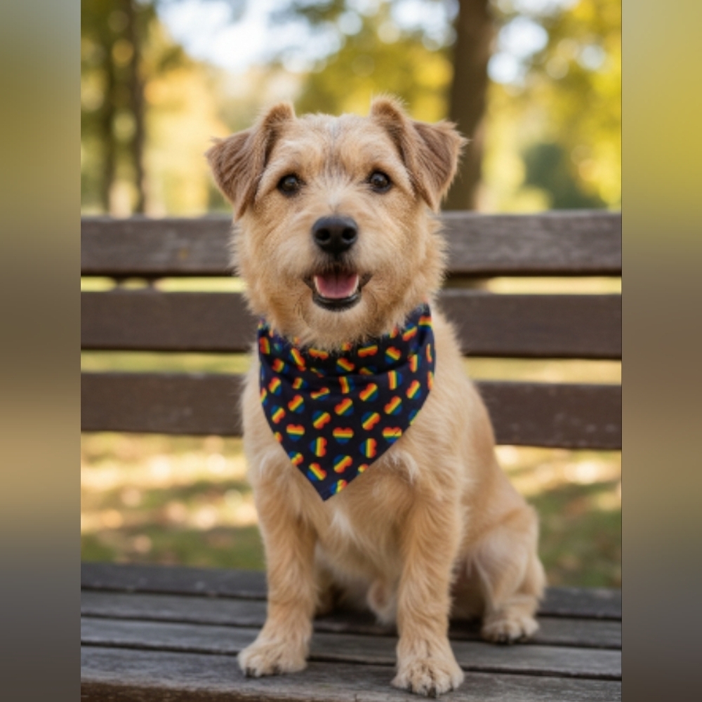 Pet Bandana  Small / Med